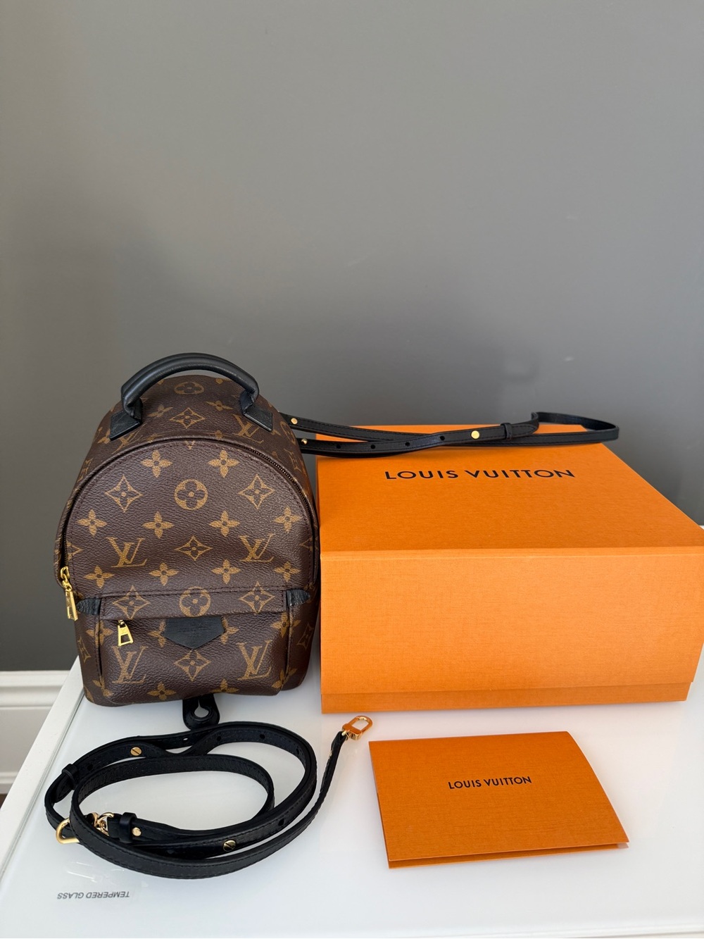 Louis Vuitton Palm Springs Mini Backpack